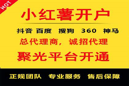 某电商平台的SEM推广策略全解析